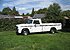 1966 Dodge D/W Truck 2WD Regular Cab D-100 for sale 101041147